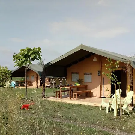 Les Escaliers De La Combe * Saint-Matré