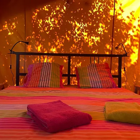 Les Escaliers De La Combe