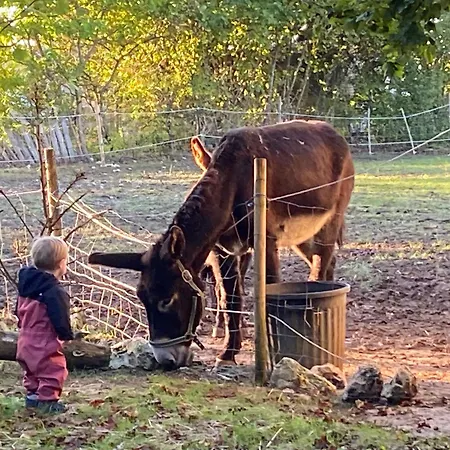 Les Escaliers De La Combe *
